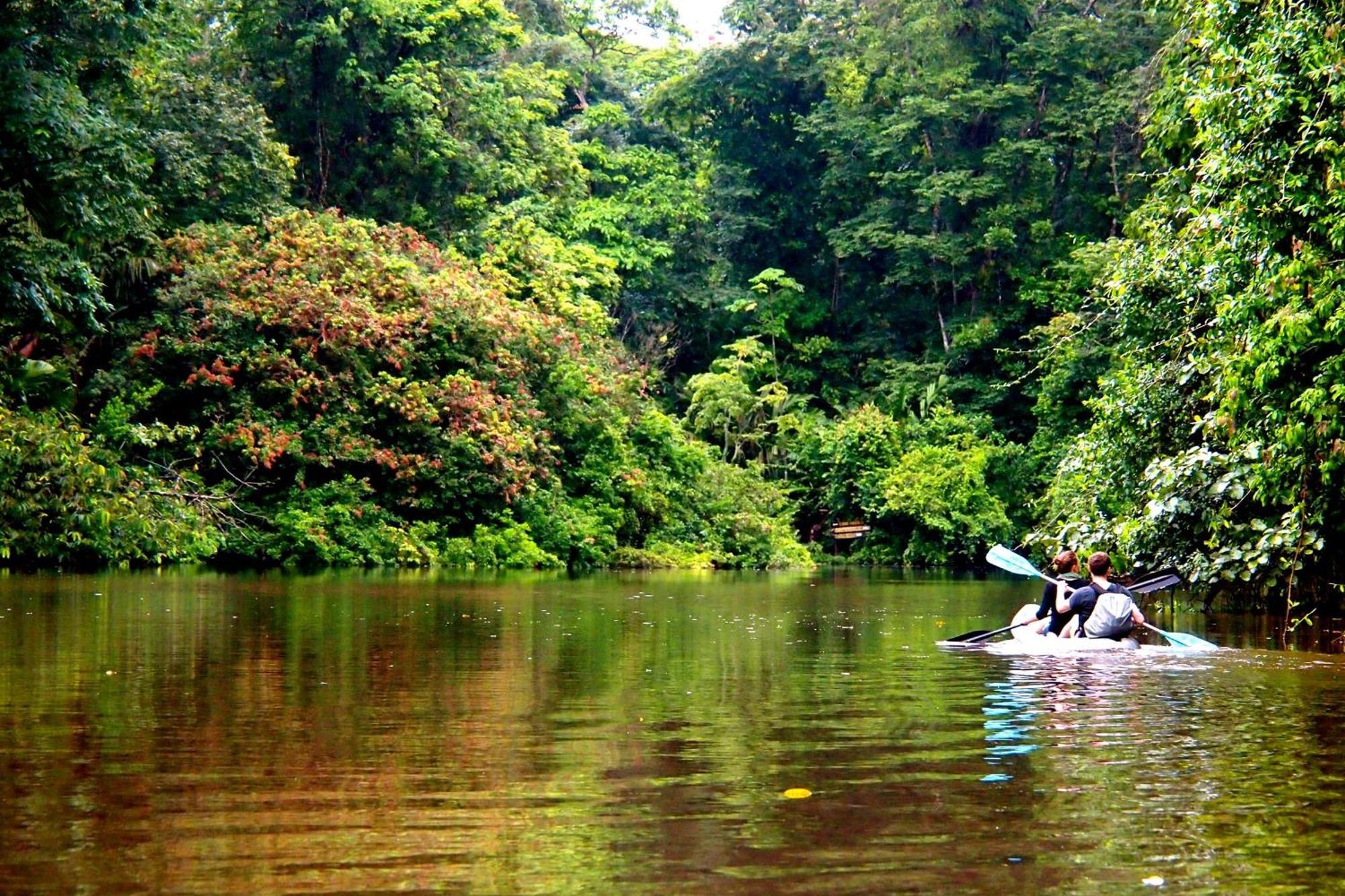 Caribbean View House Hotel Tortuguero Exterior photo