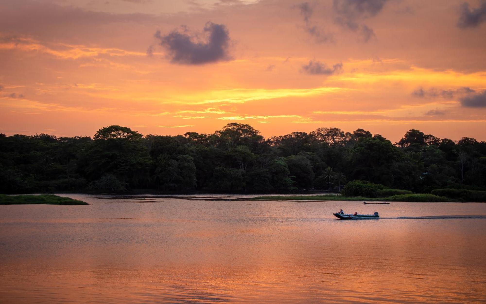 Caribbean View House Hotel Tortuguero Exterior photo