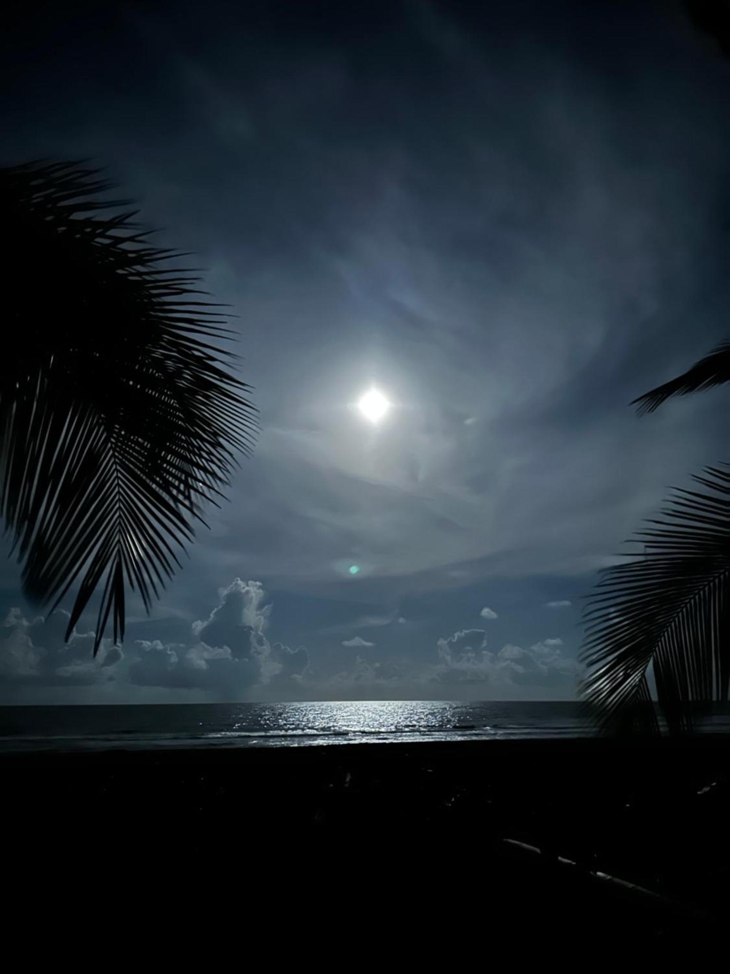 Caribbean View House Hotel Tortuguero Exterior photo