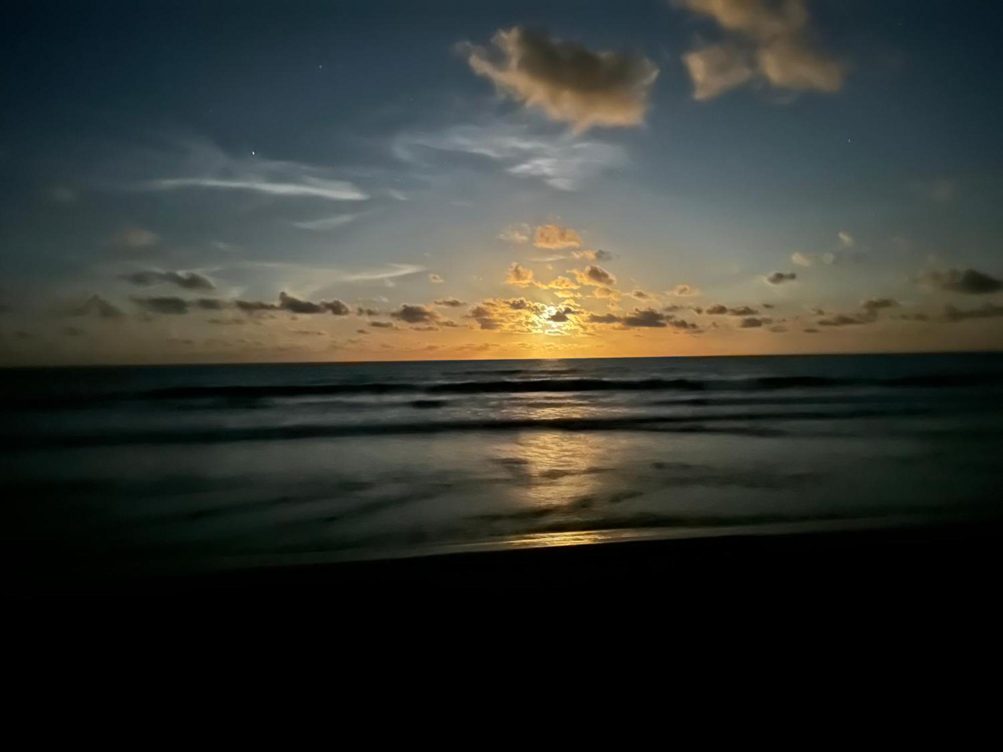 Caribbean View House Hotel Tortuguero Exterior photo