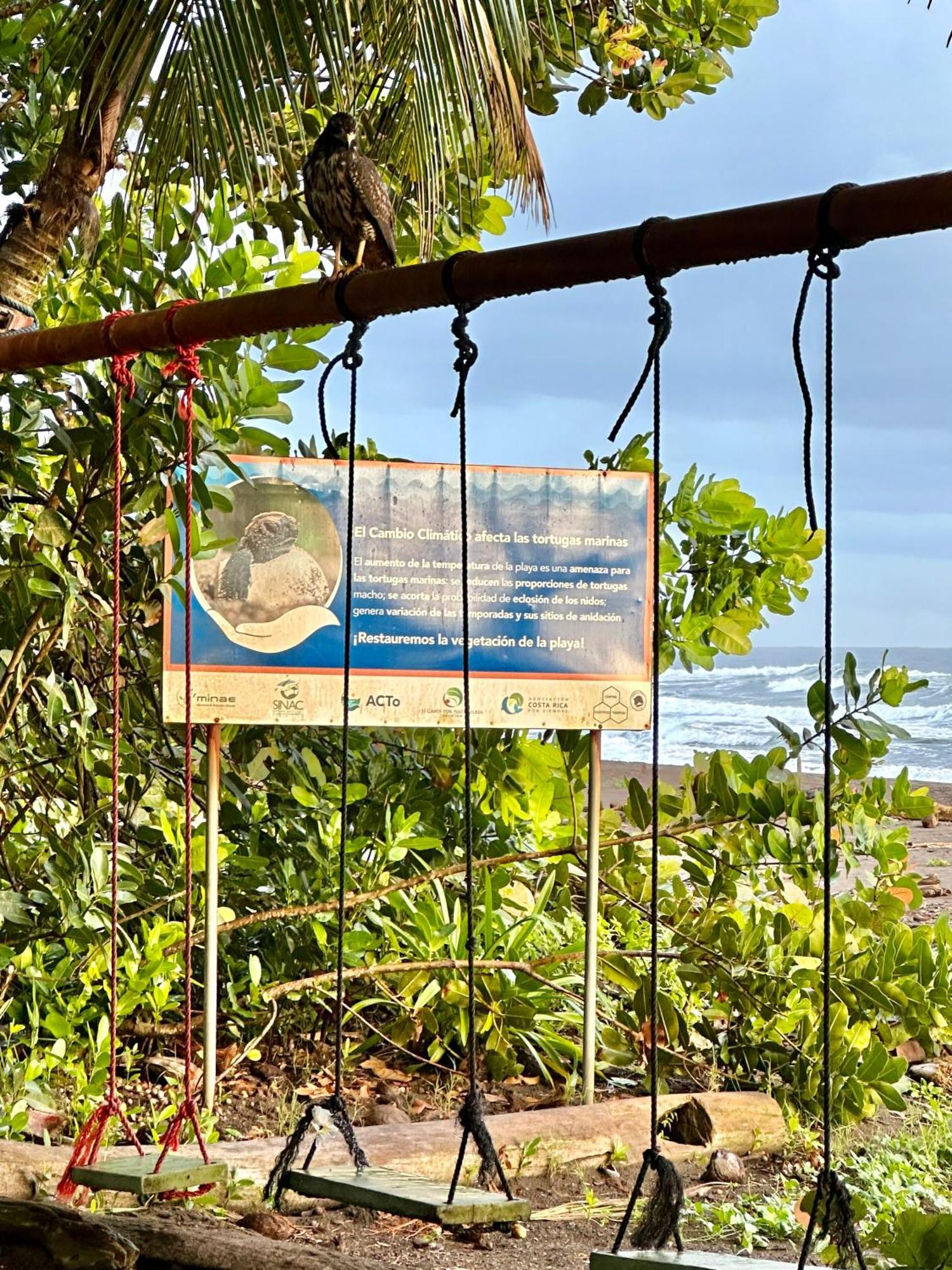 Caribbean View House Hotel Tortuguero Exterior photo
