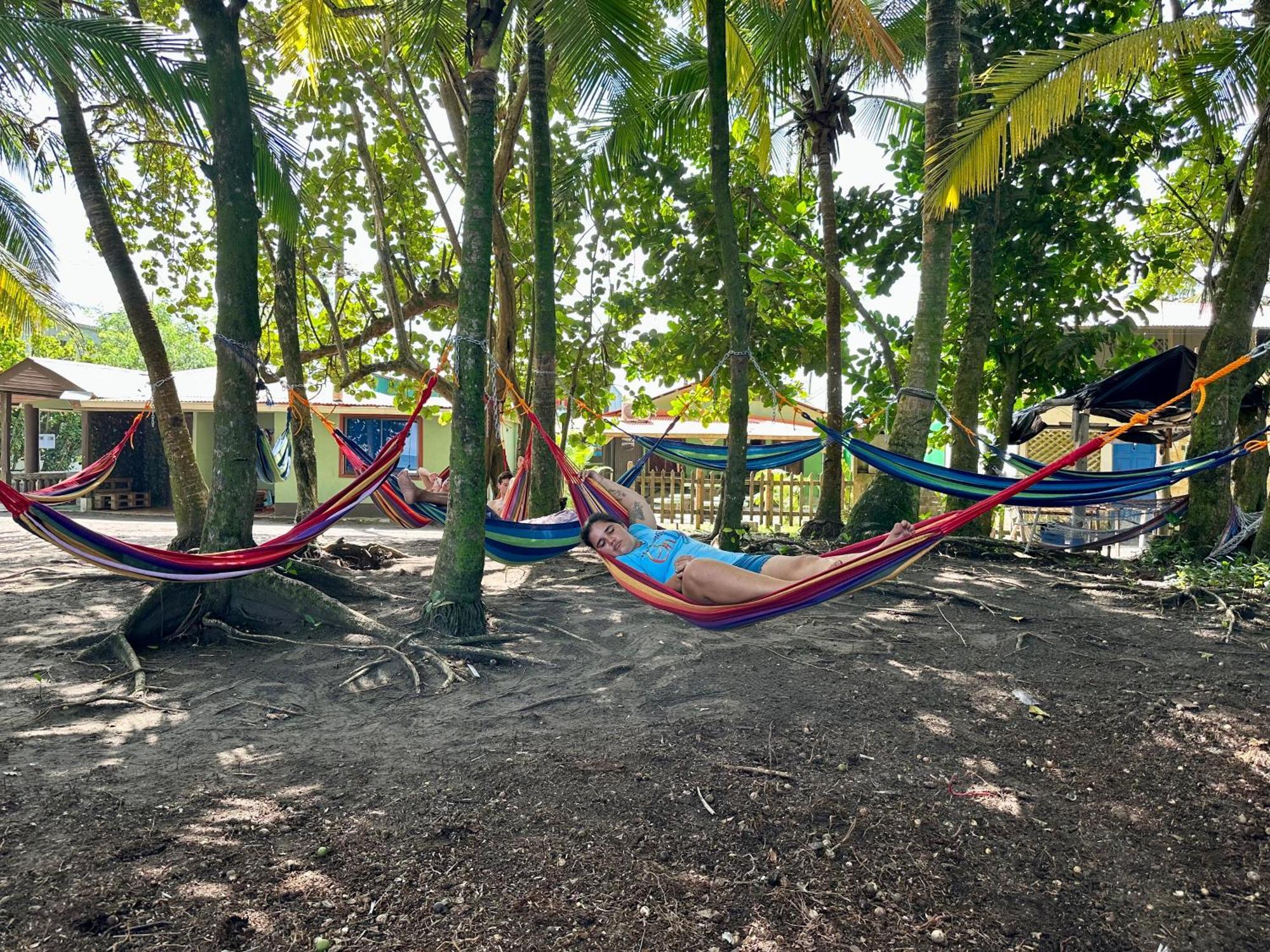 Caribbean View House Hotel Tortuguero Exterior photo
