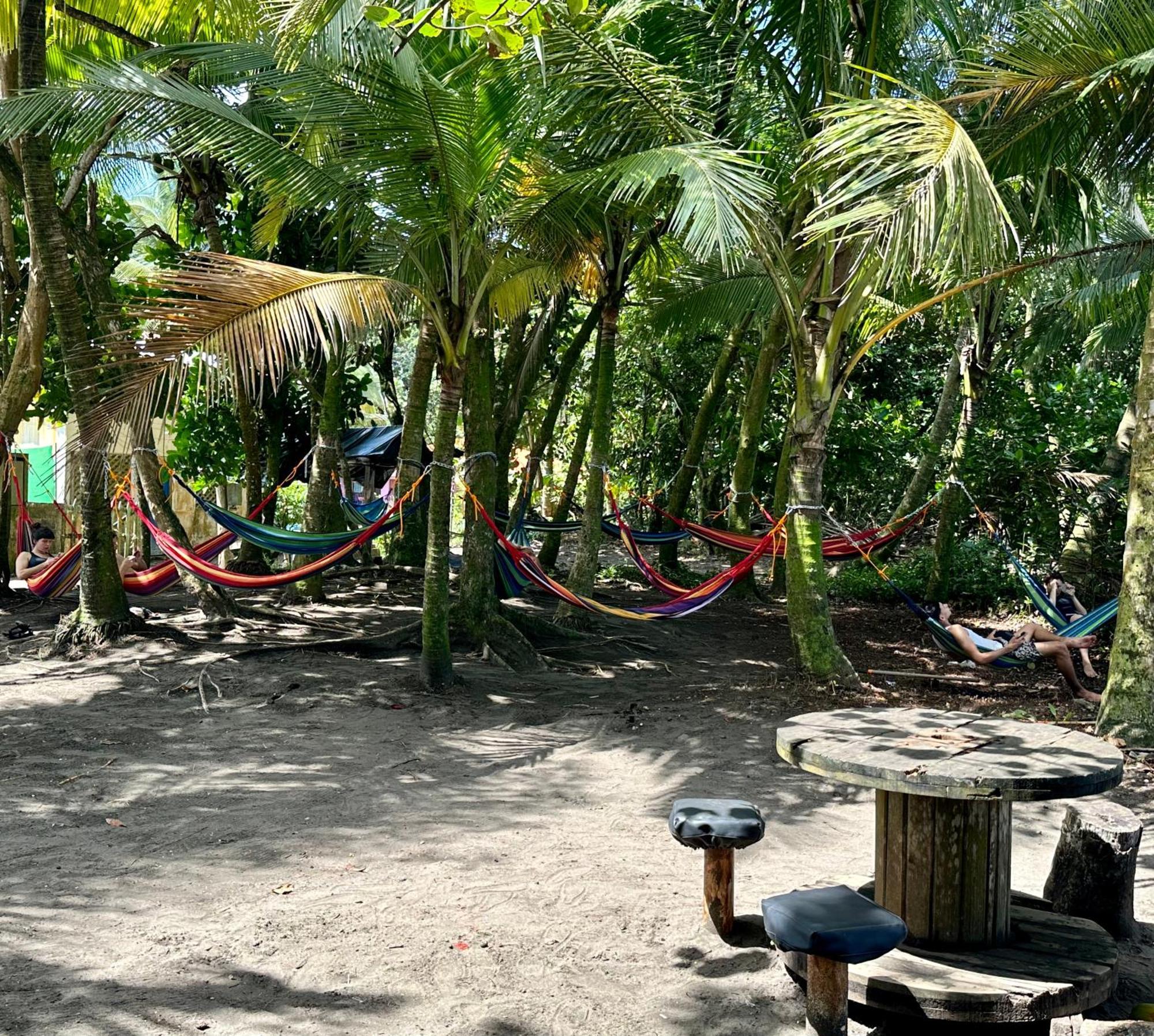 Caribbean View House Hotel Tortuguero Exterior photo