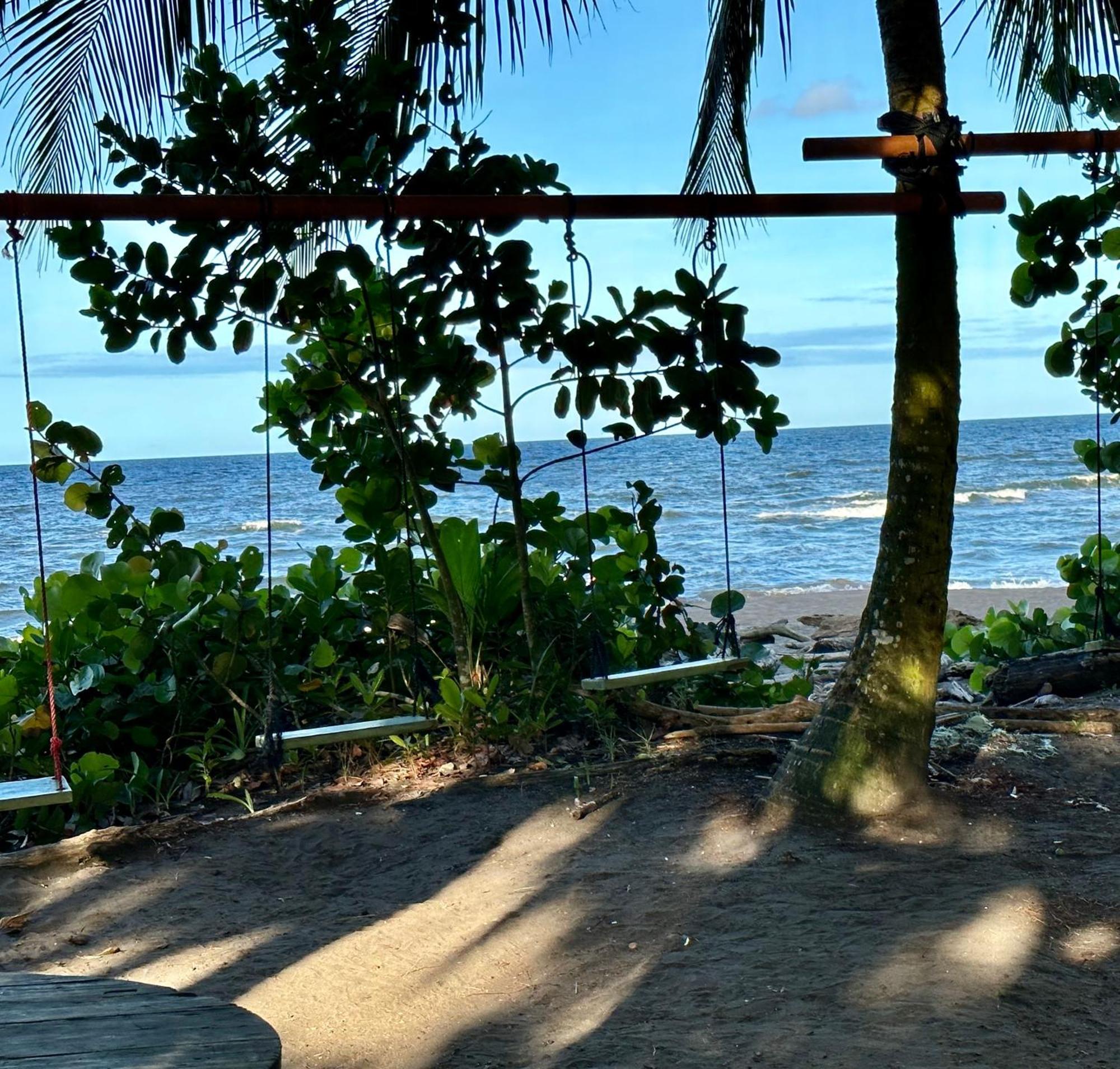 Caribbean View House Hotel Tortuguero Exterior photo