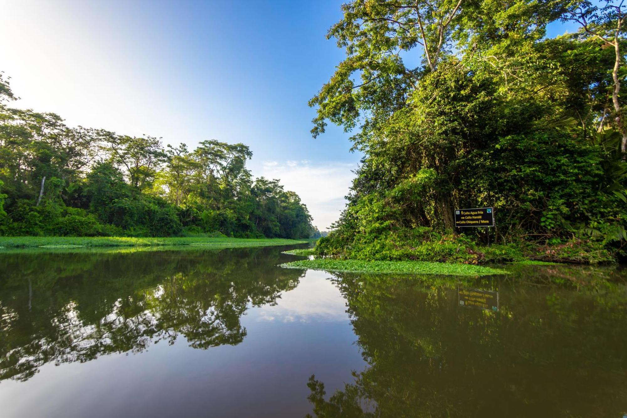 Caribbean View House Hotel Tortuguero Exterior photo
